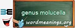 WordMeaning blackboard for genus molucella